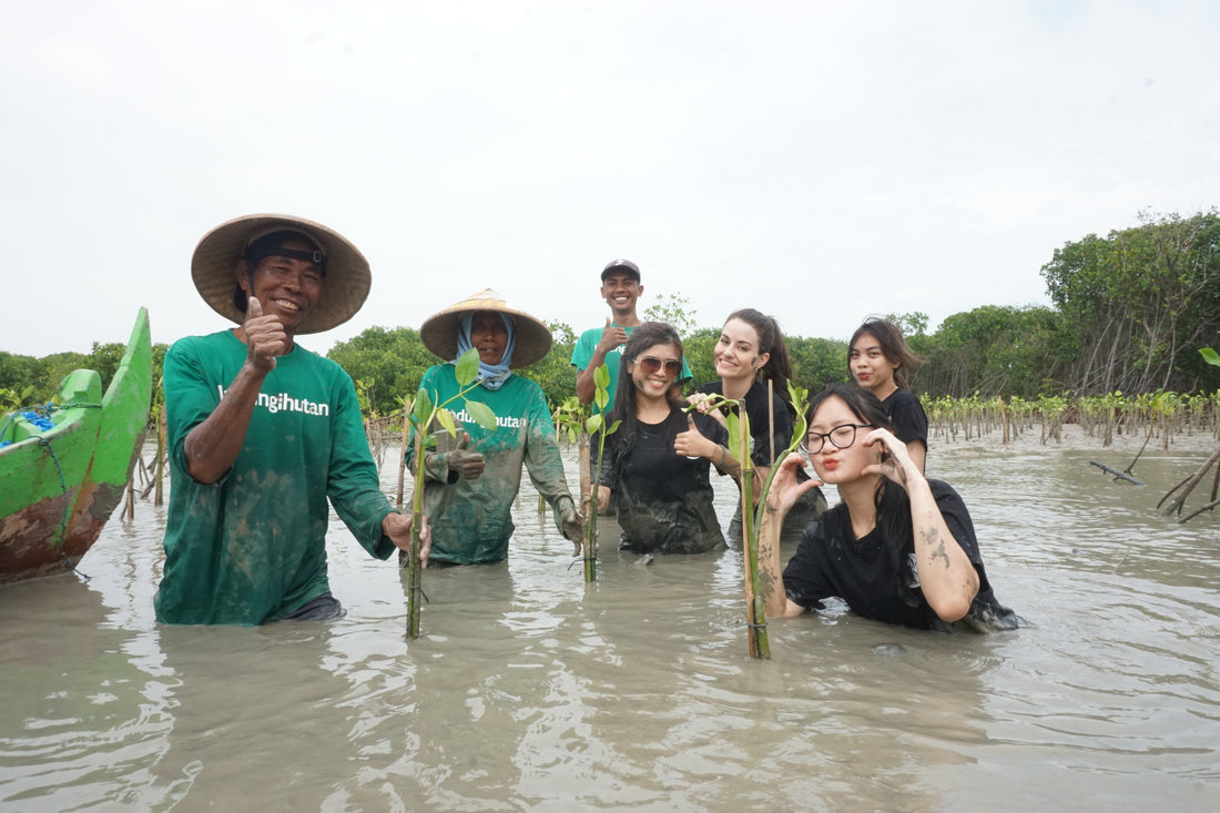 LEDIANE CARE FOR NATURE (CollaboraTree): Mangrove for Bedono Village-Demak